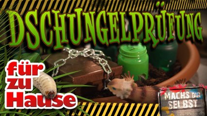 Die Dschungelprüfung fürs Kinderzimmer - Mach's dir selbst