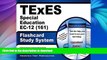 EBOOK ONLINE TExES Special Education EC-12 (161) Flashcard Study System: TExES Test Practice
