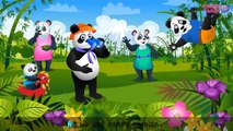 Finger Family Panda Collection | Panda Finger Family Song | Animal Nursery Rhymes & Songs for Kids