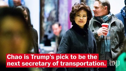 Trump Transition: Who is Elaine Chao?