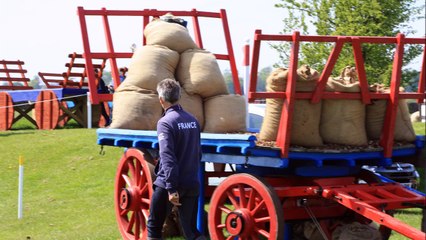 retro 2016 mecanique equestre