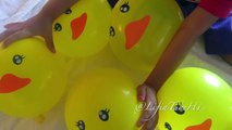 Five Little Ducks ♫ Wet Balloon Finger Nursery Rhymes @LifiaTubeHD