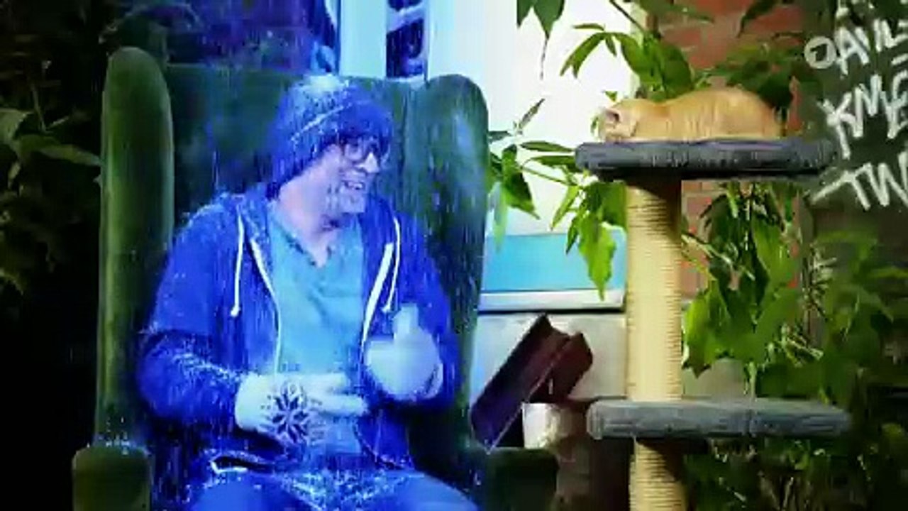 Wildkatze oder Hauskatze? Who's who? | Wissen vor Acht: Natur | Das Erste