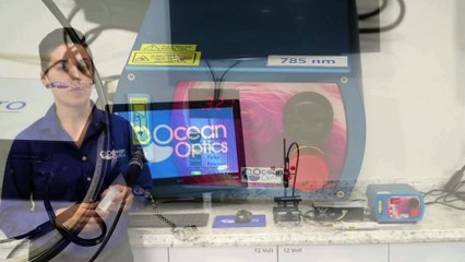 Getting Started with SERS Substrates (Surface Enhanced Raman Spectroscopy)