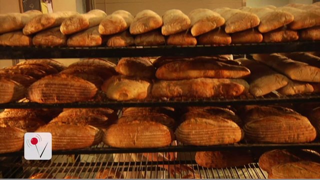 Gluten-Free Diets May be Pointless