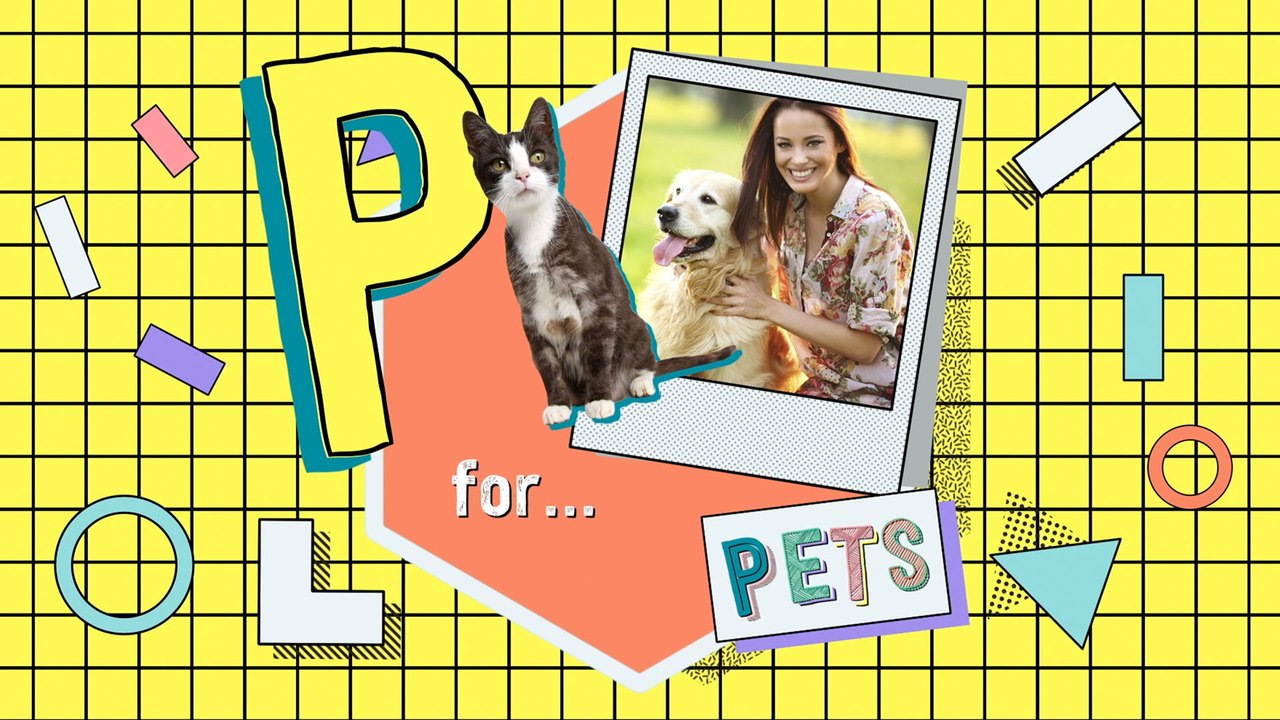5 Low Maintenance Pets