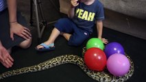 Mega Wet Balloons Compilation With Real Snake! Learn Colors Balloon Finger Nursery Rhymes