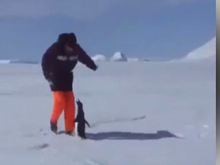 Adamın Penguenle İmtihanı