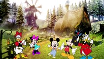 Micky Mouse Finger Family Collection Song - Finger Family Mickey Mouse and Disney Friends