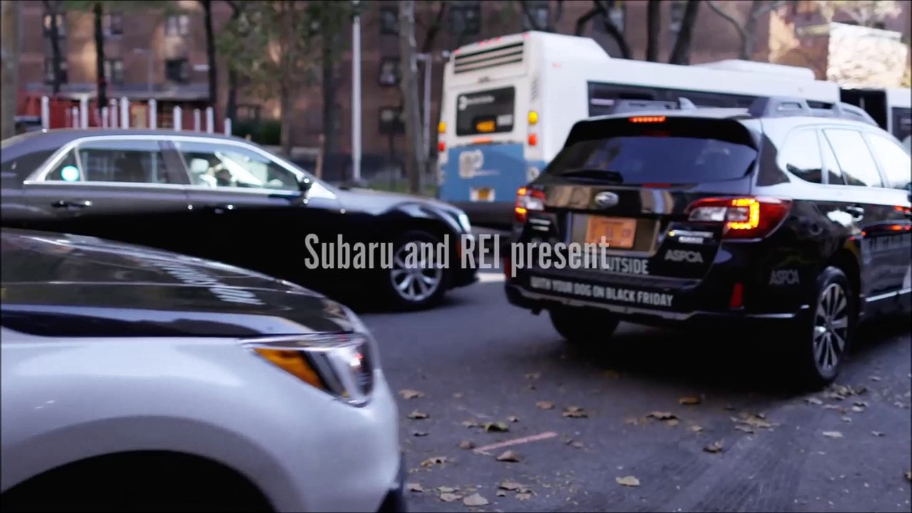 Best Subaru Dealer Fort Lauderdale FL | Best Subaru Dealership Fort Lauderdale FL