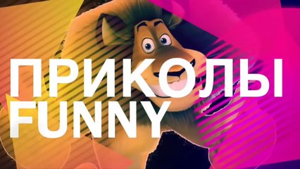 Лучшая Подборка Приколов