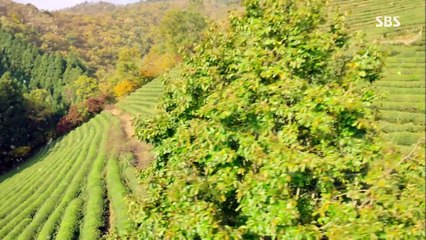 Legend of the Blue Sea E04-01 highlight LEEMINHO