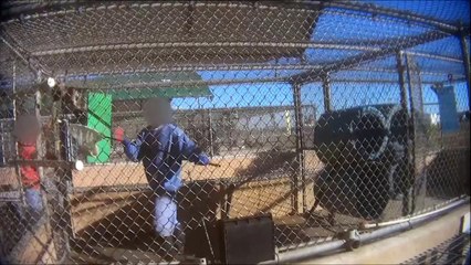 Shin Nippon Biomedical Laboratories Overview