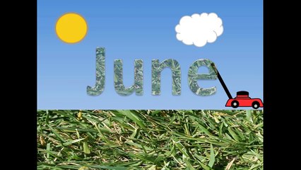 Months of the Year Video for Kids & Toddlers