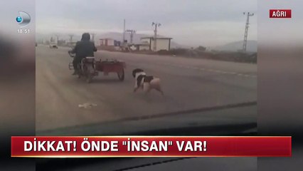 Köpeği Motorun Arkasına Bağlayıp Sürükleyerek Eziyet Eden Zalim İnsan