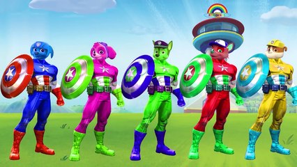 Paw Patrol Superhero Character Spiderman Superman Hulk Finger Family Nursery Rhymes Lyrics For Kids