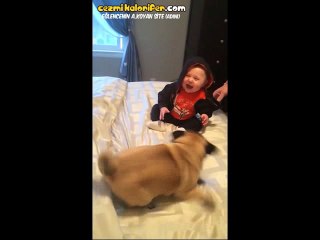 Beraberce Pek Güzel Eğlenen Geleceğin Çok Sıkı Dostları