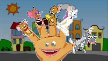 Finger Family Tom and Jerry Cartoon Finger Family Song | Nursery Rhymes Cookie Tv Video