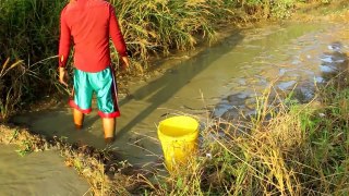 Beautiful Girl Fishing - Amazing Fishing at Battambang - Cambodia Traditional Fishing (Part 140)