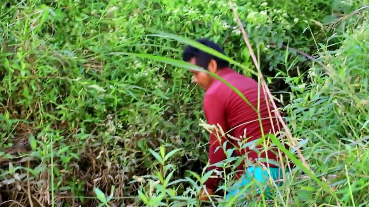 wow Amazing Fishing - Cambodia Traditional fishing - How to Catches Fish (Part 136)