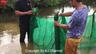 Amazing Crab Trap -  How to Catch Crabs useing the Net in cambodia