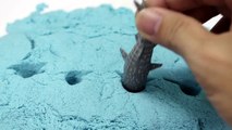 Learning Sharks for Children with Sand part4
