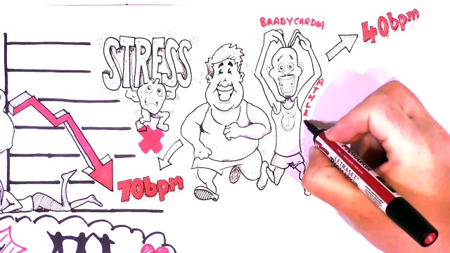 Health Fitness and Well being, Physical benefits of Physical Activity