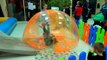 Giant WATER BALLS in a pool POOL BALLS - Fun activities for Kids and Toddlers