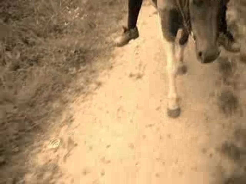 Balade avec les petits
