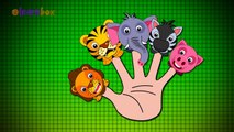 Animal Cartoons Animation Singing Finger Family Nursery Rhymes for Preschool Childrens Song