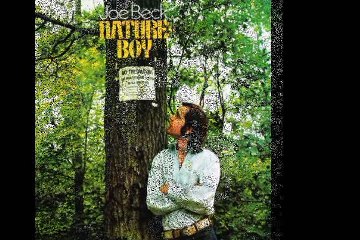 Joe Beck  "Let Me Go" 1969 US Psych Rock