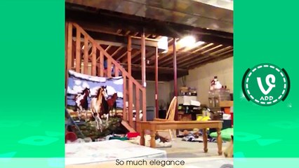 Try Not To Laugh or Grin - Funny Kids Fails Vines Compilation 2016 (Part 3)