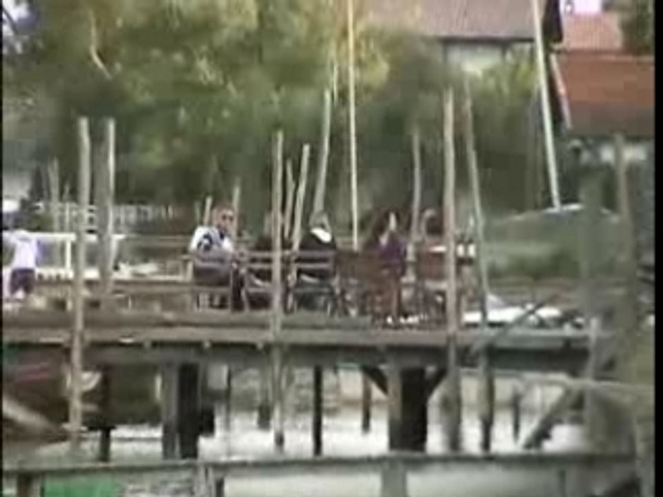 Dégustation d'huîtres