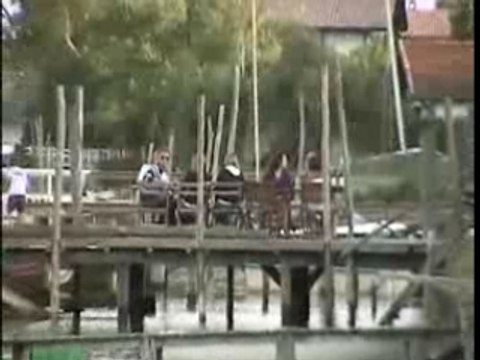 Dégustation d'huîtres