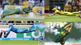 Best catches all time in cricket histroy... ! - cricket