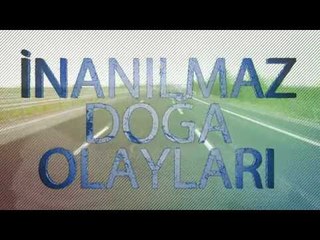 İnanılmaz Doğa Olayları - 1.Bölüm