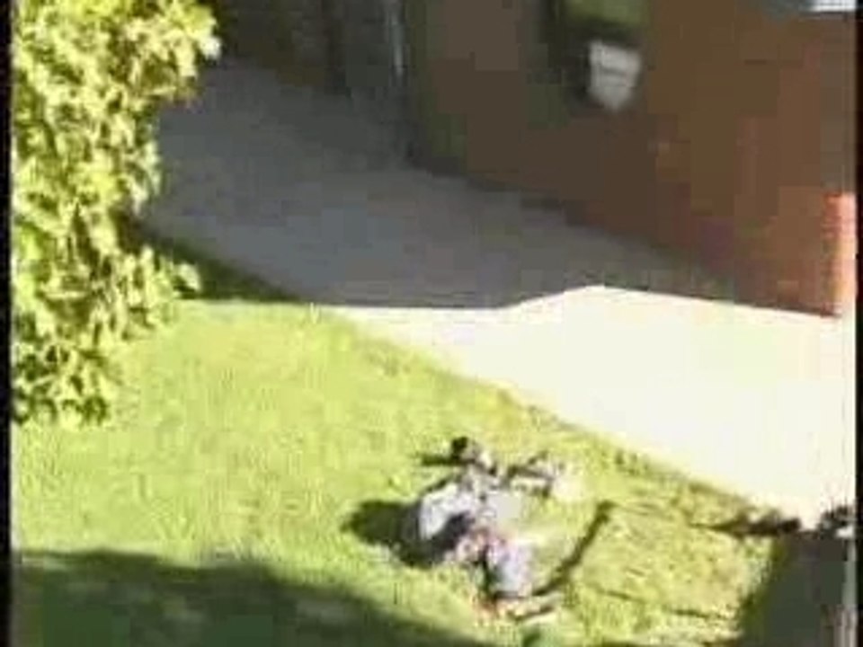 gamelle en roller du toit