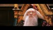 Les 8 films d'Harry Potter compilés en 1h20 par un fan !