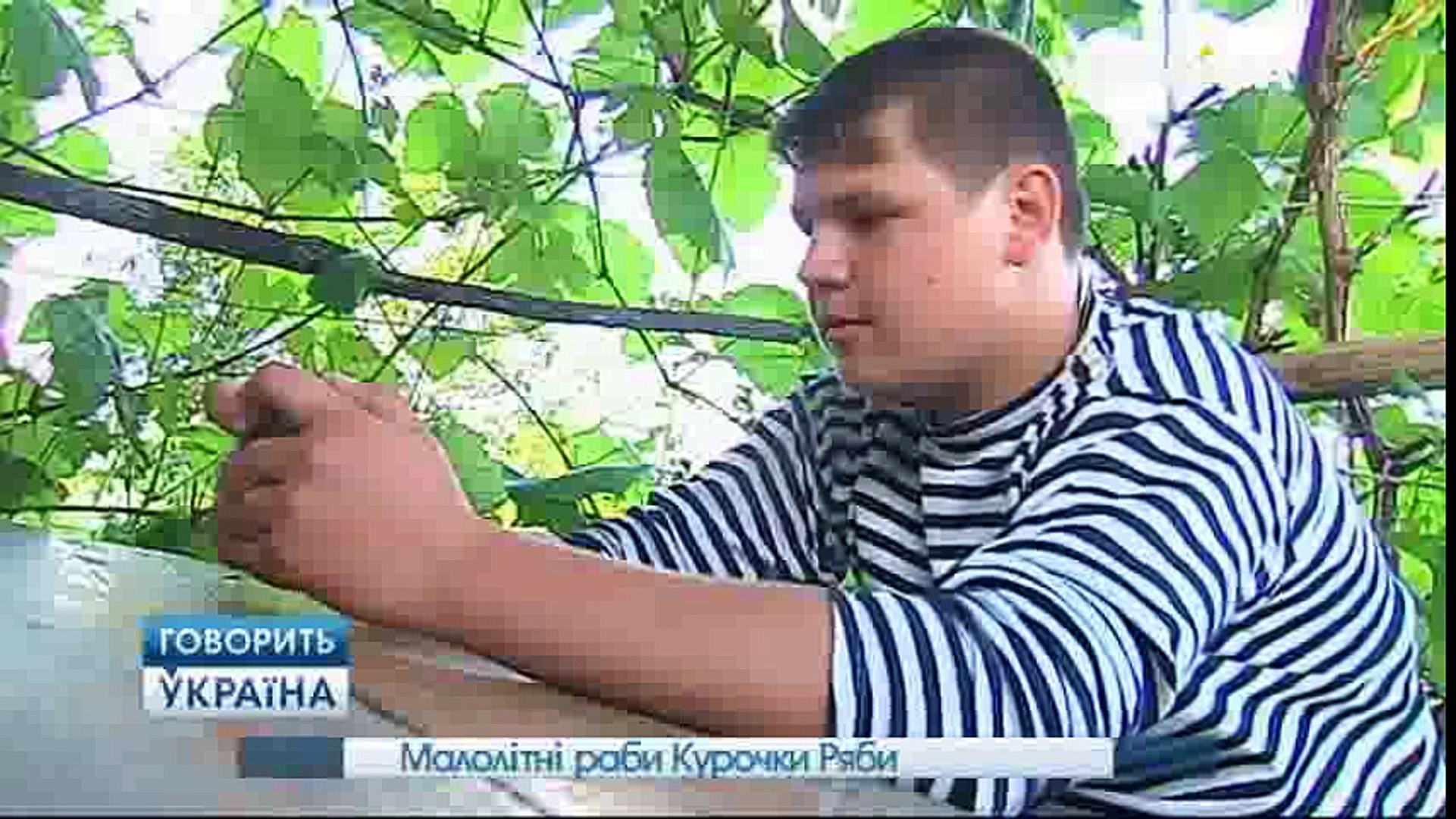 Малолетние рабы Курочки рябы (полный выпуск) | Говорить Україна part 2/2