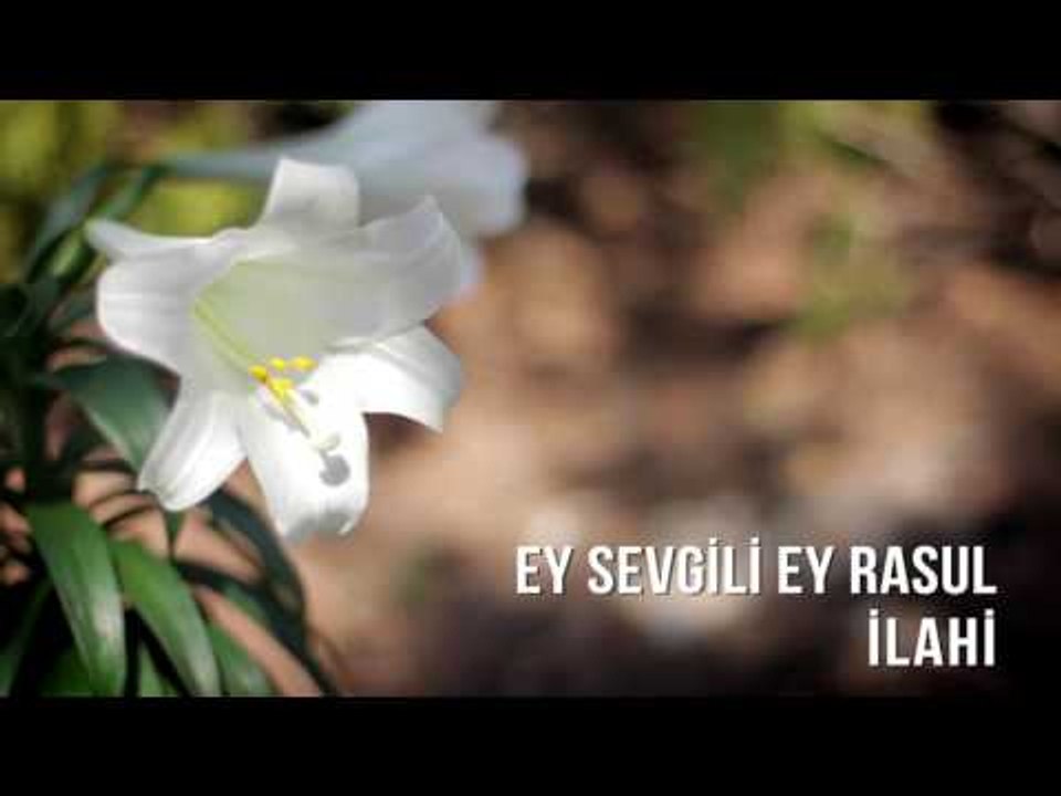 Müziksiz İlahiler -  Ey Sevgili Ey Rasul