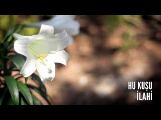 Müziksiz İlahiler - Hu Kuşu