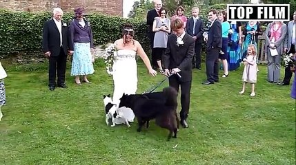 People Doing Stupid Things