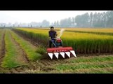 Rice reaper Rice harvester Paddy harvesting machine Small rice reaper