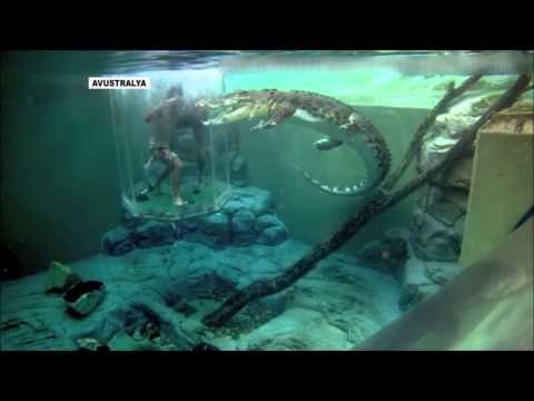 Bu havuza girmek cesaret ister