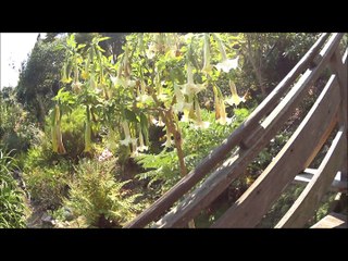 Voyage de noces de Céline et Gauthier