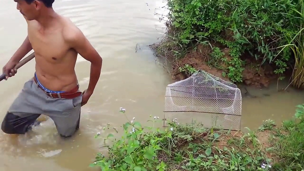 Net Fishing at Pailin Province - Cambodia Traditional Fishing - Khmer Cast Net Fishing (Part 073)
