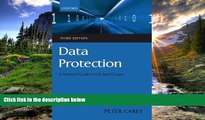READ book Data Protection: A Practical Guide to UK and EU Law Peter Carey BOOOK ONLINE