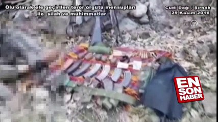 Cudi Dağı'nda terör operasyonu