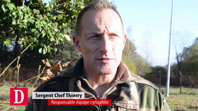 Tarbes : tests grandeur nature pour les équipes cynophiles du 1er RHP