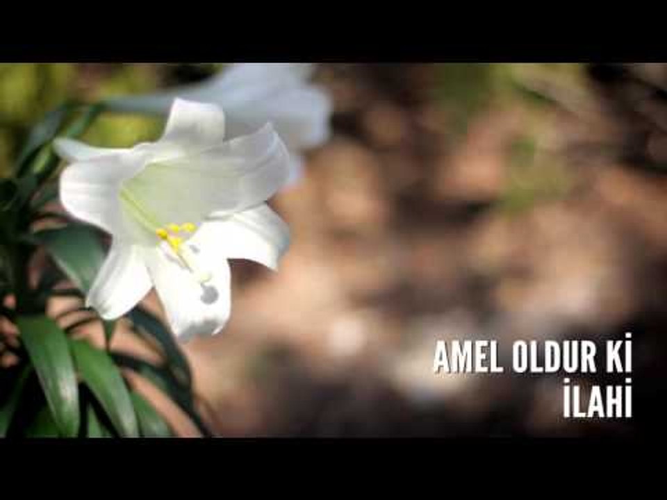 Müziksiz İlahiler - Amel Oldur Ki
